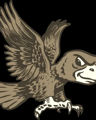 Bowling Green Falcons Buffalo