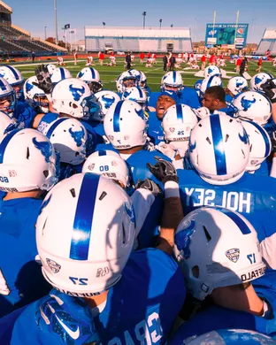 Buffalo Bulls Buffalo