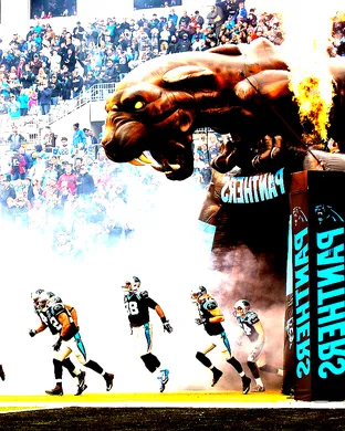 Carolina Panthers Orchard Park