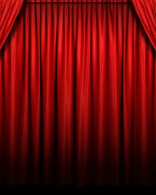 Curtains Buffalo