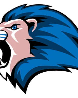 Detroit Lions Orchard Park