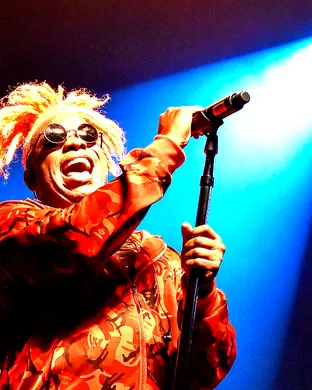 Living Colour Buffalo