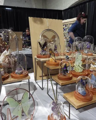 Oddities and Curiosities Expo